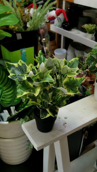 Искусств.растение в горшке из пластика, 23 см, асс/4, пластик, арт. 317220000 (только самовывоз)