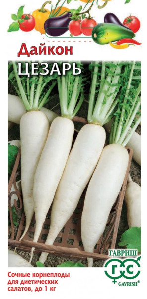 Дайкон Цезарь ГВ 1г
