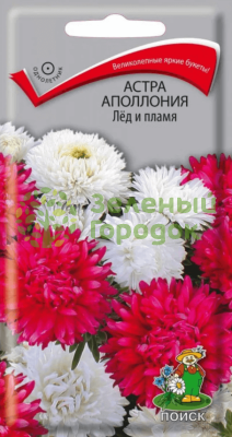 Астра Аполлония Лед и Пламя (ЦВ) 0,3г Астра Аполлония Лед и Пламя (ЦВ) 0,3г
