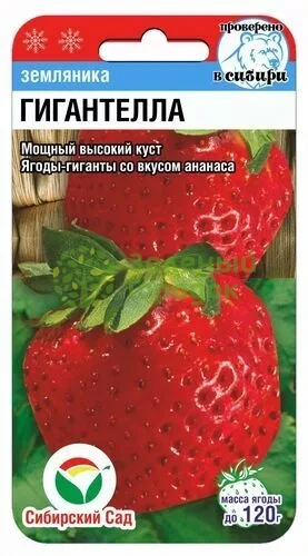 Земляника Гигантелла СИБ 10шт Земляника Гигантелла СИБ 10шт
