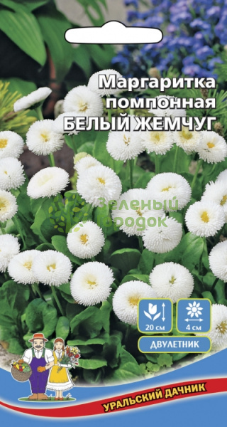 Маргаритка Белый Жемчуг помпонная УД 0,03г