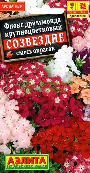 Флокс друммонда Созвездие, смесь АЭ 0,3г