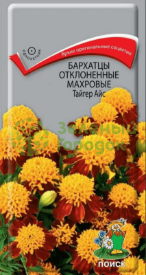 Бархатцы отклоненные махровые Тайгер Айс (ЦВ) 0,4г Бархатцы отклоненные махровые Тайгер Айс (ЦВ) 0,4г