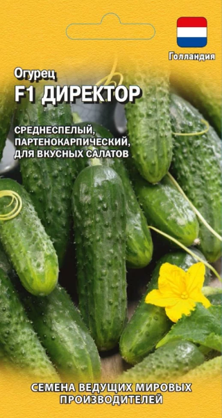 Огурец Директор F1 Голландия ГВ 5шт Огурец Директор F1 Голландия ГВ 5шт