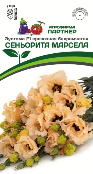 Эустома СЕНЬОРИТА МАРСЕЛА F1 срезочная бахромчатая 5шт в амп