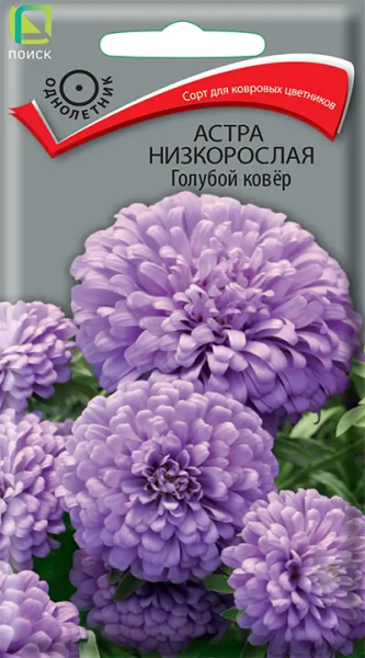 Астра низкорослая Голубой ковер (ЦВ) 0,2г Астра низкорослая Голубой ковер (ЦВ) 0,2г