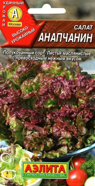 Салат Анапчанин полукочанный АЭ 0,5г Салат Анапчанин полукочанный АЭ 0,5г