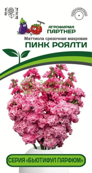 Маттиола срезочная махровая Бьютифул Парфюм ПИНК РОЯЛТИ 2-ной пак. 10шт Маттиола срезочная махровая Бьютифул Парфюм ПИНК РОЯЛТИ 2-ной пак. 10шт
