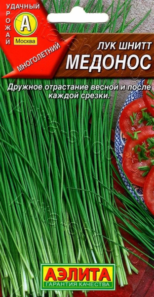 Лук шнитт Медонос АЭ 0,5г