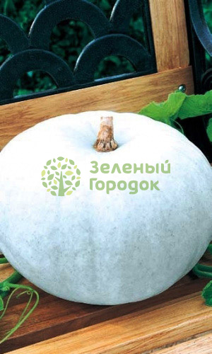 Тыква Крошка (Марс) белый пакет 2г Тыква Крошка (Марс) белый пакет 2г