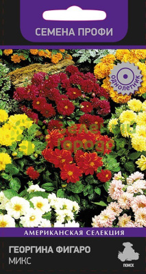 Георгина Фигаро Микс (ЦВ) 10шт