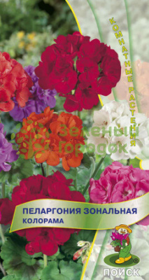 Пеларгония зональная Колорама (ЦВ) 0,05г Пеларгония зональная Колорама (ЦВ) 0,05г