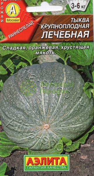 Тыква Лечебная крупноплодная АЭ 2г