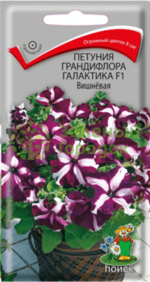 Петуния грандифлора Галактика F1 Вишневая (ЦВ) 10шт Петуния грандифлора Галактика F1 Вишневая (ЦВ) 10шт