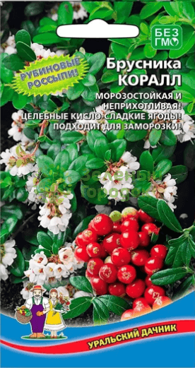 Брусника Коралл УД 20шт Брусника Коралл УД 20шт