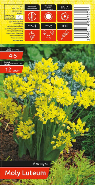 Аллиум MOLY LUTEUM 4-5 каперс 12шт/уп (уценка, только самовывоз)