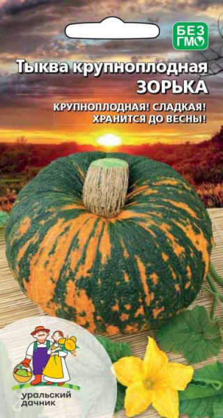 Тыква Зорька крупноплодная УД