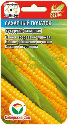 Кукуруза Сахарный початок СИБ 6шт