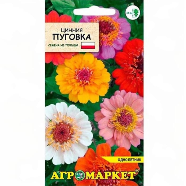 Цинния Пуговка АМ 1г