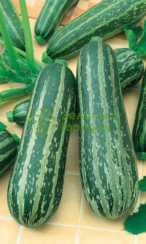 Кабачок Зебра цукини (Марс) белый пакет 2г