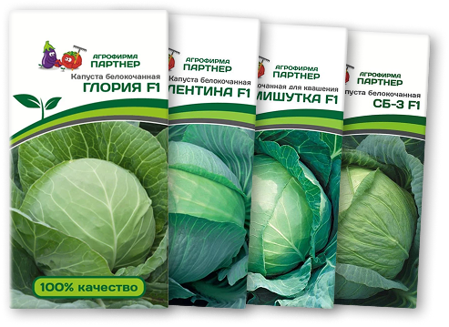 ! Капуста б/к ГЛОРИЯ F1 + ВАЛЕНТИНА F1 + МИШУТКА F1 + СБ-3 F1 ! Капуста б/к ГЛОРИЯ F1 + ВАЛЕНТИНА F1 + МИШУТКА F1 + СБ-3 F1