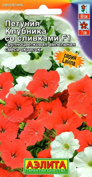 Петуния Клубника со сливками F1 крупноцветковая ампельная смесь окрасок АЭ 7шт Петуния Клубника со сливками F1 крупноцветковая ампельная смесь окрасок АЭ 7шт
