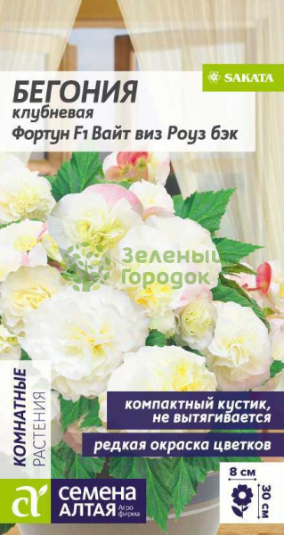 Бегония Фортун F1 Вайт виз Роуз Бэк клубневая SA 5шт Бегония Фортун F1 Вайт виз Роуз Бэк клубневая SA 5шт