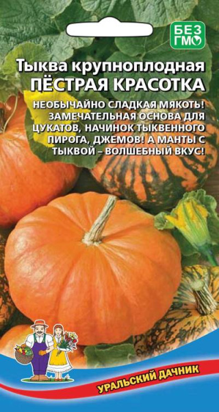 Тыква Пестрая красотка крупноплодная УД