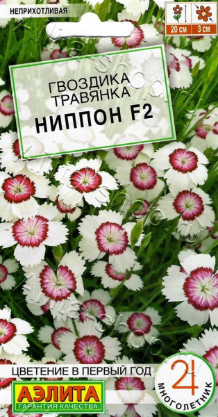 Гвоздика Ниппон F2 многолетняя АЭ 0,05г
