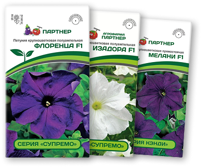 ! Петуния ФЛОРЕНЦА F1 + ИЗАДОРА F1 + МЕЛАНИ F1 ! Петуния ФЛОРЕНЦА F1 + ИЗАДОРА F1 + МЕЛАНИ F1