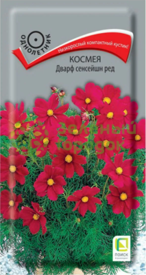 Космея Дварф сенсейшн ред (ЦВ) 0,2г