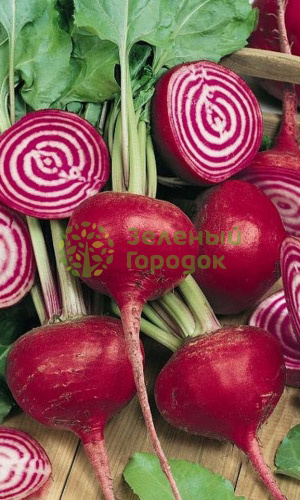 Свекла Кубанская борщевая 43 (Марс) белый пакет 2г