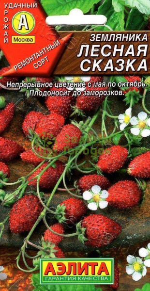 Земляника Лесная сказка АЭ 0,04г Земляника Лесная сказка АЭ 0,04г