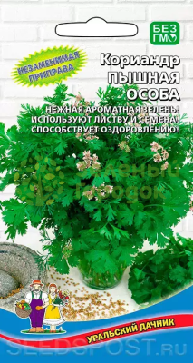 Кориандр (кинза) Пышная особа УД 2г