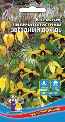 Клематис пильчатолистный Звездный Дождь УД 12шт