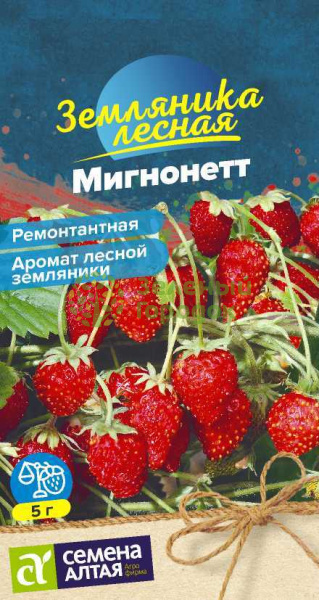 Земляника ремонтантная Мигнонетт SA 8шт Земляника ремонтантная Мигнонетт SA 8шт