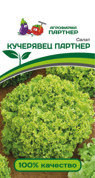 Салат листовой КУЧЕРЯВЕЦ ПАРТНЕР 1г Салат листовой КУЧЕРЯВЕЦ ПАРТНЕР 1г