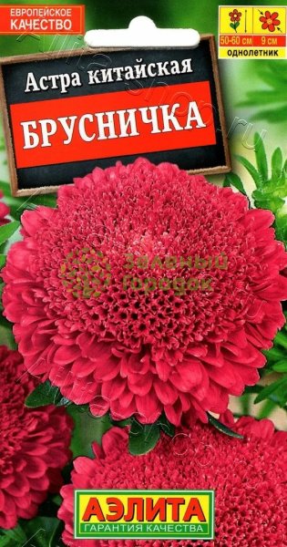 Астра однолетняя Брусничка АЭ 0,2г