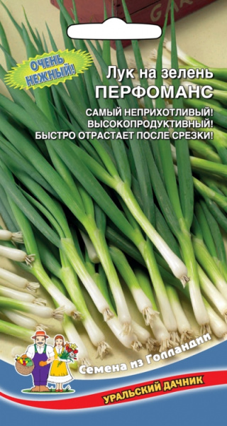 Лук на зелень Перфоманс УД Лук на зелень Перфоманс УД