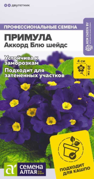 Примула Аккорд Блю шейдс SA 5шт Примула Аккорд Блю шейдс SA 5шт