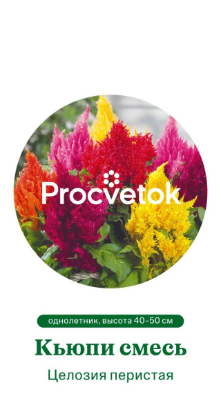 Целозия перистая Кьюпи смесь Германия Pro 0,2г