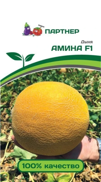 Дыня АМИНА F1 5шт Дыня АМИНА F1 5шт