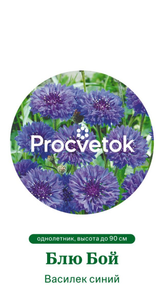 Василек синий Блю Бой Германия Pro 1г