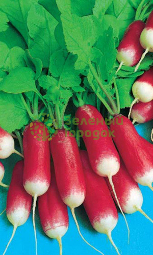 Редис 18 дней (Марс) белый пакет 2г Редис 18 дней (Марс) белый пакет 2г