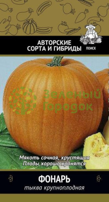 Тыква Фонарь крупноплодная (ЦВ) 10шт Тыква Фонарь крупноплодная (ЦВ) 10шт