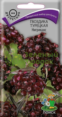 Гвоздика турецкая Нигриканс (ЦВ) 0,3г