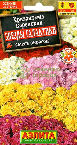 Хризантема Звезды галактики, смесь АЭ 0,02г