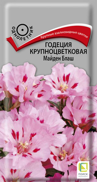 Годеция крупноцветковая Майден Блаш (ЦВ) 0,2г