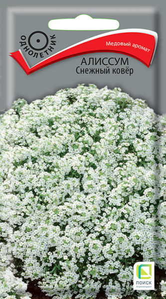 Алиссум Снежный ковер (ЦВ) 0,3г Алиссум Снежный ковер (ЦВ) 0,3г