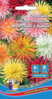 Георгина кактусовидная Морские Ежики УД 0,2г